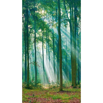 Grandeco ML6301 Vliesová fototapeta na zeď Prosluněný les rozměry 1,59 x 2.8 m