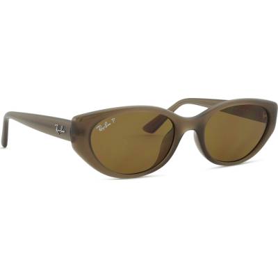 Ray-Ban RB4457D 677983 55