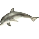Schleich delfín