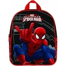 Karton P+P Spiderman 1-279