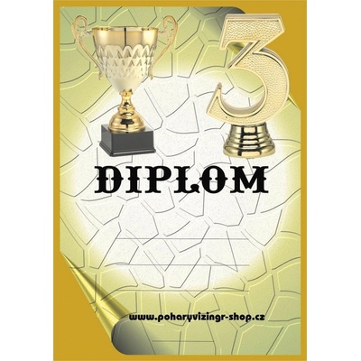 VIZINGR Diplom A4 Dč.53