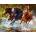 Norimpex - Puzzle Diamant painting: Horses in the river 30x40cm - 1 - 39 piese