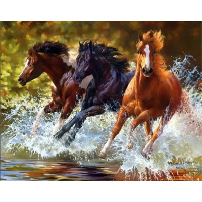Norimpex - Puzzle Diamant painting: Horses in the river 30x40cm - 1 - 39 piese