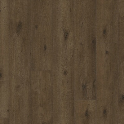 Parador Trendtime 6 Dub Everglade antický 1748792 2.673 m²