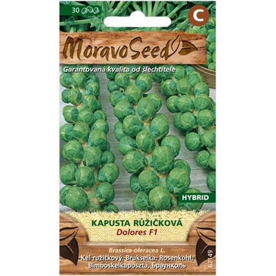 Semínka MoravoSeed Kapusta růžičková DOLORES F1 – hybrid, 40s