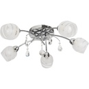 Image 1 of Rábalux Melissa 2622