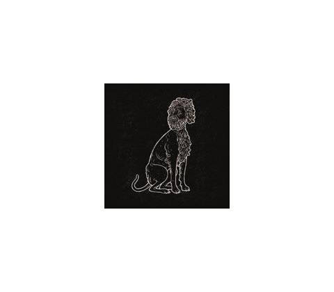 Ática • 1 LP