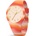 ICE WATCH 022600