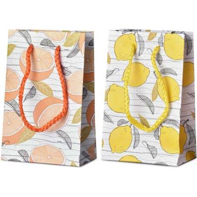 Taška dárková 100x150 mm plody citrusu mix, mix barev