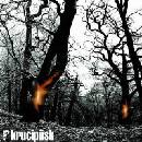 Krucipüsk - Druide CD