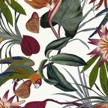 Graham & Brown 108601 Vliesová tapeta Exotické kvety, listy a papagáje Parrot White, Paradise, rozmery 52 x 1000 mm