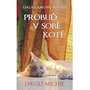 Probuď v sobě kotě - David Michie