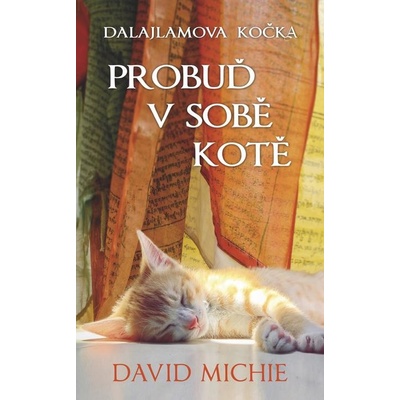 Probuď v sobě kotě - David Michie
