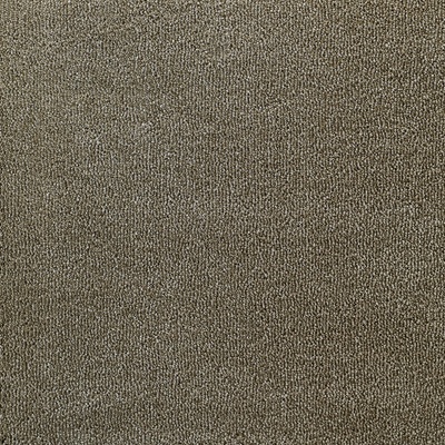 Edel Eternity Alloa Crocodile 183 hnědý metráž 4m