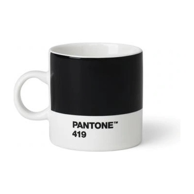 Pantone Espresso Black 419 120 ml