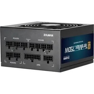 Zalman TeraMax 750W 80 PLUS Gold (ZM750-TMX)