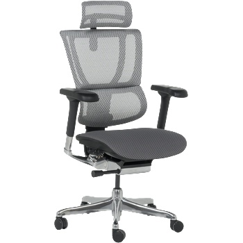 Ergohuman Ергономичен стол ergohuman ioo elite 2 - черна рамка - сив (3520668)