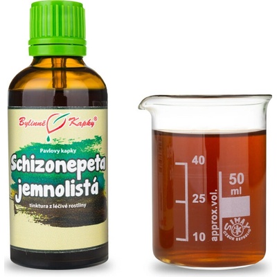 Schizonepeta TCM pavlovy bylinné kvapky tinktúra 50 ml
