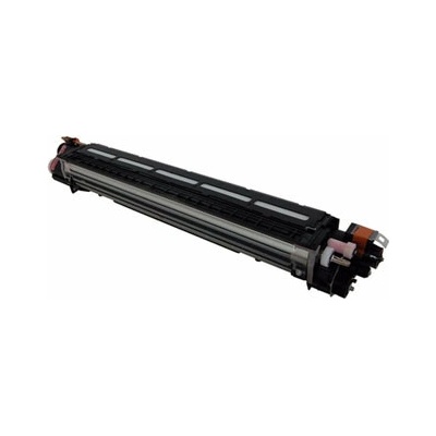 Ricoh D2423061/D2423065 - originálny