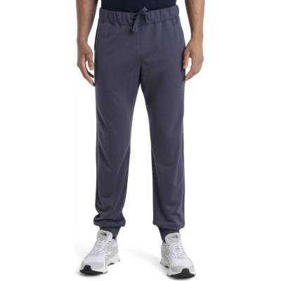 Icebreaker Mens Merino Shifter II pants Graphite