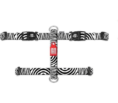 MAX and MOLLY postroj ZEBRA
