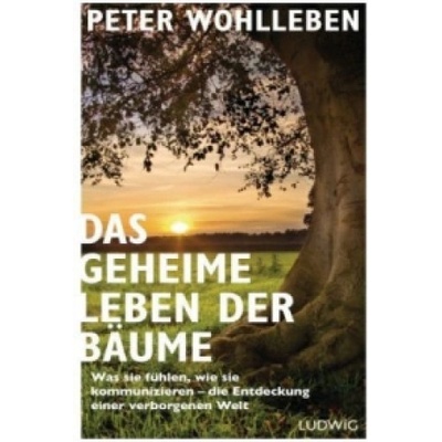 Das geheime Leben der Bäume | Peter Wohlleben