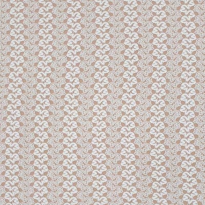 Čipka N5083 biela, š.150