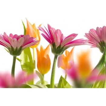 DIMEX ART s. r. o Флизелинов фототапет пролетни цветя 375 x 250 см