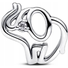 Pandora 793345C01