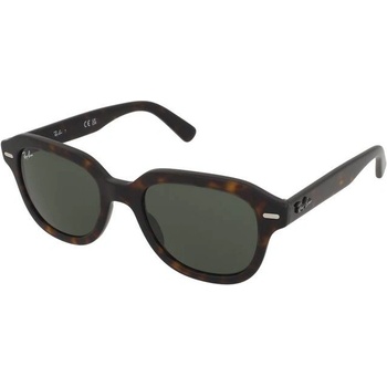 Ray-Ban Erik RB4398 902 31