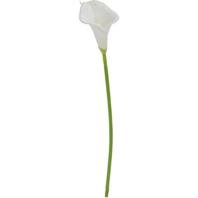 KS CALLA BIELA 34CM