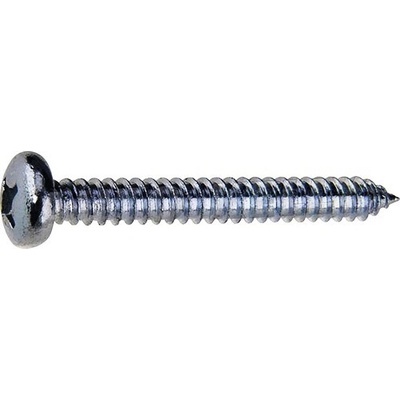 Šroub do plechu půlkulatá hlava 2,9x13 PH, zinek bílý, 20ks – Sleviste.cz