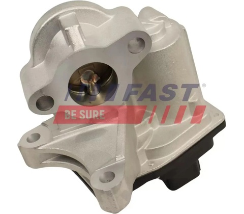 FAST AGR ventil FST FT60244