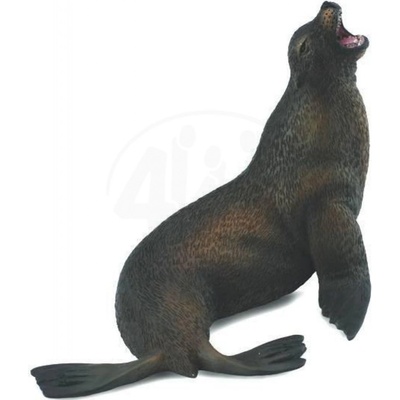 Collecta Uškatec hrivnatý