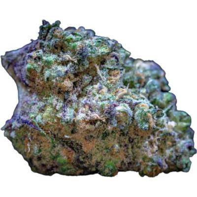 Growers Choice Frozen Cherry Runtz semena neobsahují THC 5 ks
