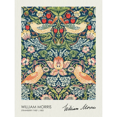 Plakát, Obraz - Strawberry Thief (1883), William Morris, 30 × 40 cm – Zbozi.Blesk.cz