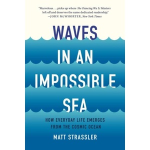 Waves in an Impossible Sea (ISBN: 9781541603370)