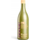 Bes Silkat Repair R1 Primer Shampoo čistící šampon 1000 ml