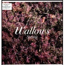 Spring - Wallows LP