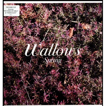 Spring - Wallows LP