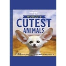 World's Cutest Animals