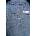 Calvin Klein Jeans къс панталон мъжки от памук (LV04RF608G)
