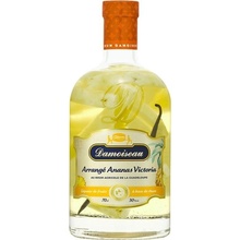 Damoiseau Rhum Arrange Ananas & Vanille 30% 0,7 l (čistá fľaša)