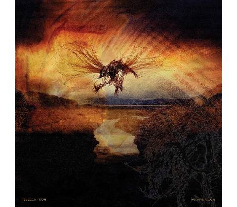 J.A.R. - CD BOX CD