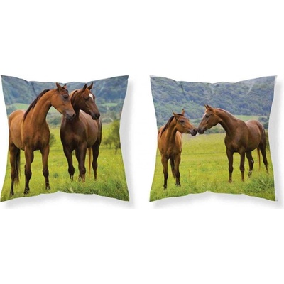 Detexpol Kone na lúke Polyester 40 x 40 cm