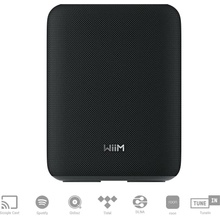 WiiM Sound Lite