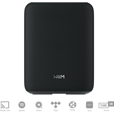 WiiM Sound Lite