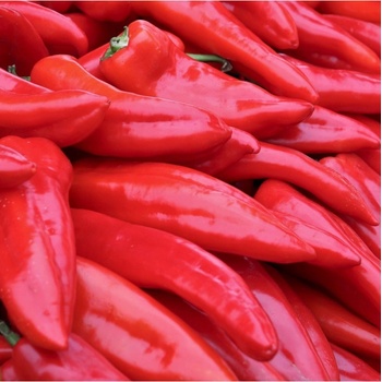 Paprika Lipari F1 - Capsicum annuum - semienka - 5 ks