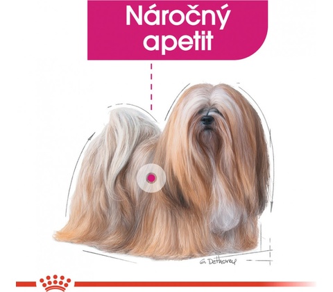 Royal Canin Exigent 85 g