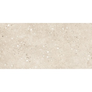 Atlas Concorde Solution Гранитогрес Atlas Concorde Solution Grain Terrazzo Ivory 60x120 (HFVP)